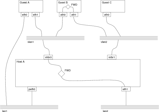 Logical network architecture